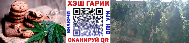 mega вход  Олёкминск  Еда ТГК конопля 