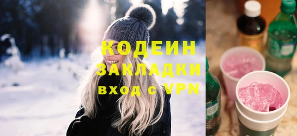 шишки Белокуриха