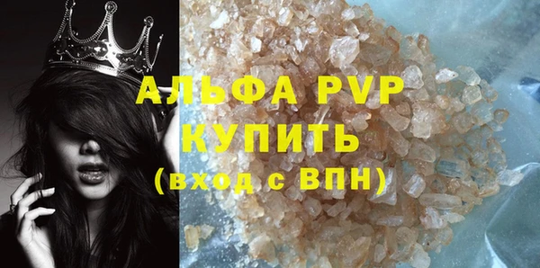 шишки Белокуриха