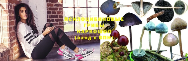дурь Балахна