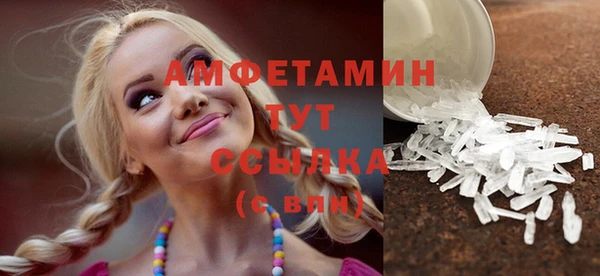 шишки Белокуриха