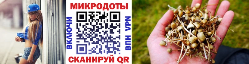 купить наркоту  Олёкминск  Галлюциногенные грибы GOLDEN TEACHER 